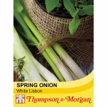 Spring Onion 'White Lisbon'