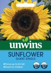 Sunflower Giant Single