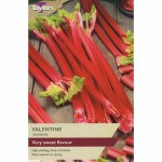 Rhubarb Valentine