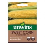 Sweet Corn Moonshine F1