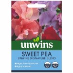 Sweet Pea Unwins Signature Blend