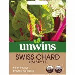 Swiss Chard Galaxy F1