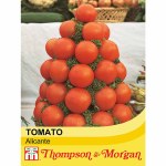 Tomato 'Alicante'