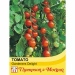 Tomato 'Gardener's Delight'