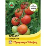 Tomato 'Moneymaker'