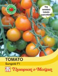 Tomato 'Sungold' F1 Hybrid