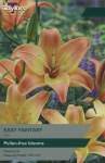 Lily Easy Fantasy 2 Bulbs