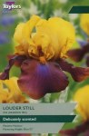 Iris Luder Still