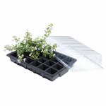 Standard Propagator - W0030