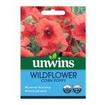 Wildflower Corn Poppy