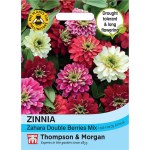 Zinnia marylandica 'Zahara Double Berries Mix'