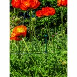 Additional picture of Standard Stake 100cm - Ø 7mm