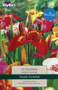 Tigridia