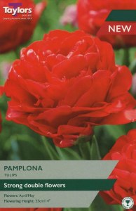 Tulip Secret Perfume 6 Bulbs