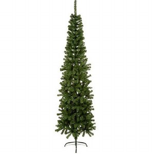 Spruce Pine 2m (6.5ft)