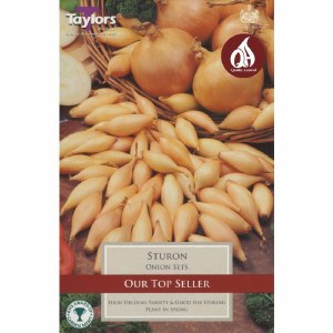 Onion Sets Sturon