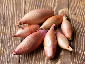 Shallot 'Maloine' 10pk