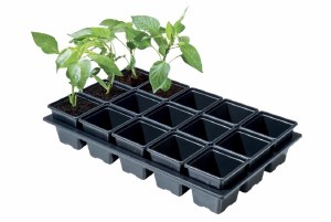 Professional Mini Vegetable Tray (15 x 7cm Sq Pots)