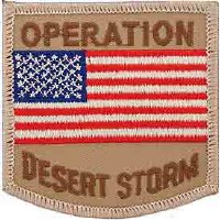 Ptch - DEST.STORM,USA FLAG