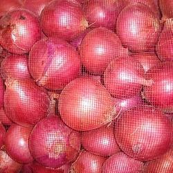 FRESH RED ONIONS BULK 50 LB