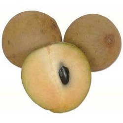 Fresh Chickoo - Sapota (Sold by Weight)