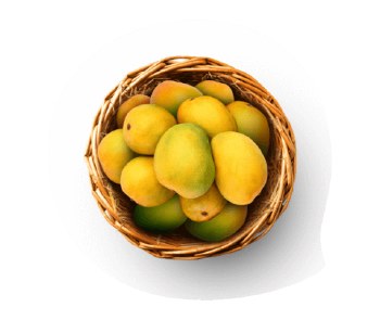 FRESH INDIAN RASALU MANGO BIG BOX