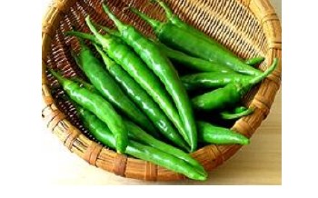 Fresh Long Chilly - Finger Hot - Sold by Weight - Pound