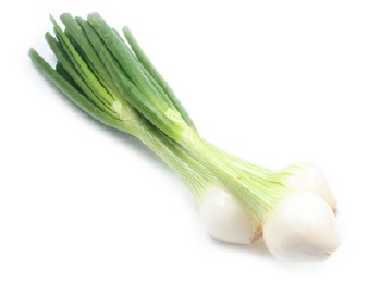 Fresh Spring - green Onions (Sold by Bunch)