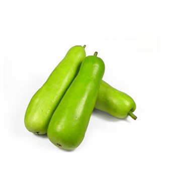 Fresh Long Squash - Dudhi - Lauki - Sold by Piece (Unit)