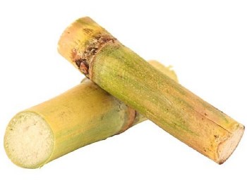 Sugarcane Stick Fresh - Sold by Piece
