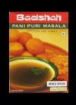 Badshah Pani Puri MASALA 100G