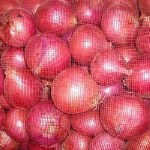 FRESH RED ONIONS BULK 50 LB