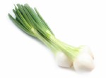 Fresh Spring - green Onions (Sold by Bunch)