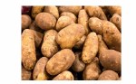 Potato Idaho
