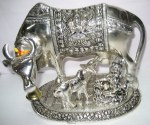 S.S. Nandni