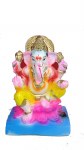 Ganesh Visarjan 4inch
