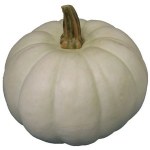 Fresh White Pumpkin - Sold by Weight - Pound