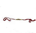 Rakhi-29 A8