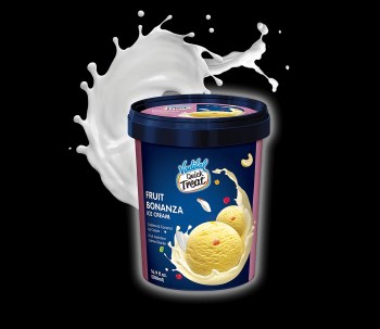 VADILAL ICE CREAM FRUIT BONANZA 500 ML