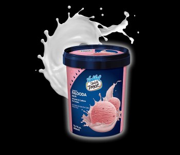 VADILAL ICE CREAM KULFI FALOODA 500 ML