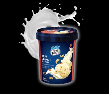 VADILAL KAJU DRAKSH ICE CREAM 500ML