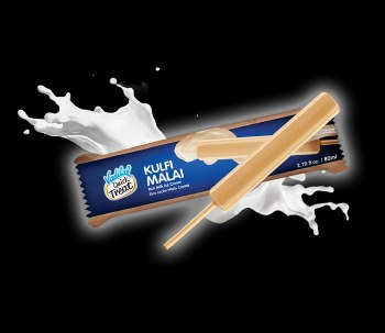 VADILAL KULFI MALAI MEVA 80 ML
