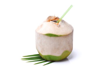 Fresh Young Coconut - Thai Coconut - Sold by Piece