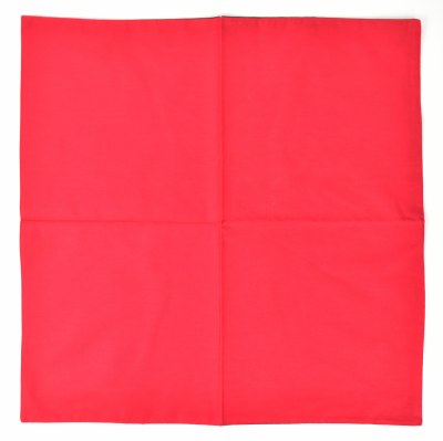 18" x 18" Red & Green Reversible Napkin