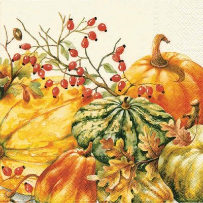 5" Cream Calabaza Paper Beverage Napkins  Fall and Thanksgiving