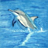 6" Square Single Dolphin Jumping Ceramic Tile