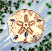 8" Square Brown and White Sand Dollar Ceramic Tile