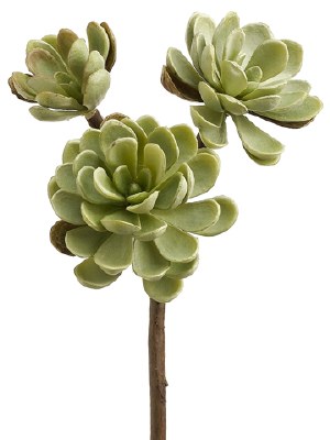 10" Faux Green Artificial Hen & Chicks