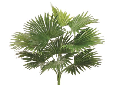 18" Green Artificial Fan Palm Bush