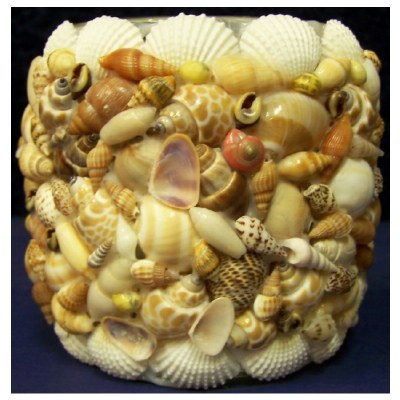 4" Round Multicolor Mixed Shell and Glass Votive Holder